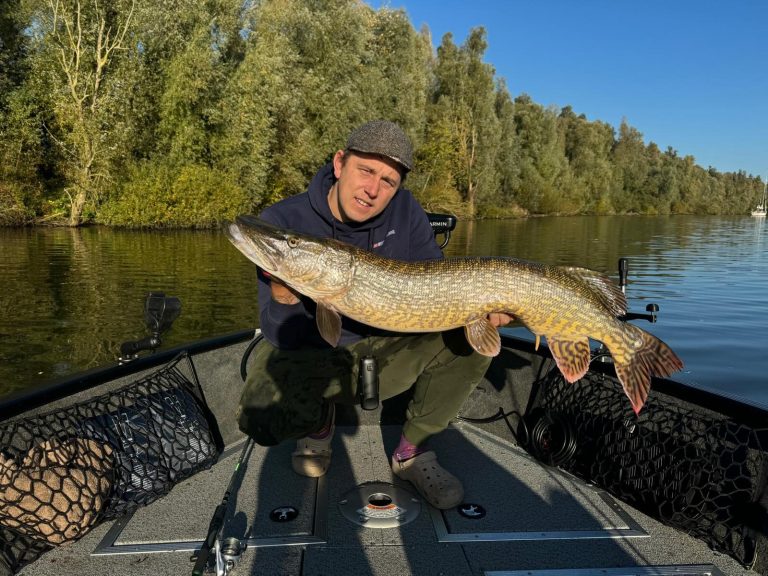 Visgids Dutch Fishing Experience Man holding a large northern pike while fishing on a boat.